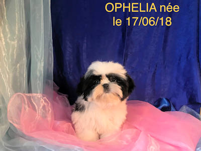 OPHELIA petite maman