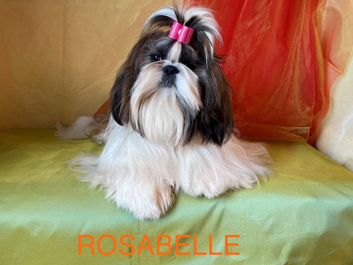 Maman ROSABELLA