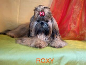 Maman ROXY