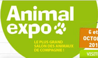 animal