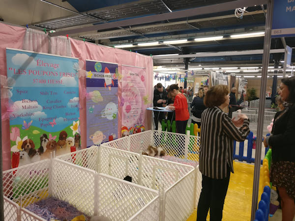 le stand