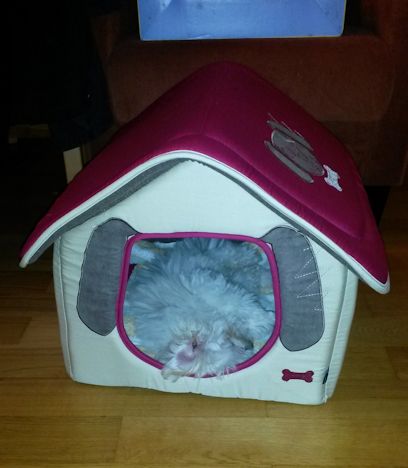 autre couchage