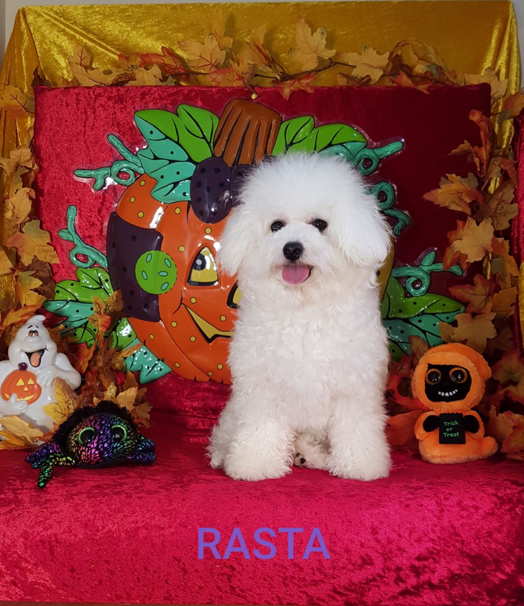 RASTA