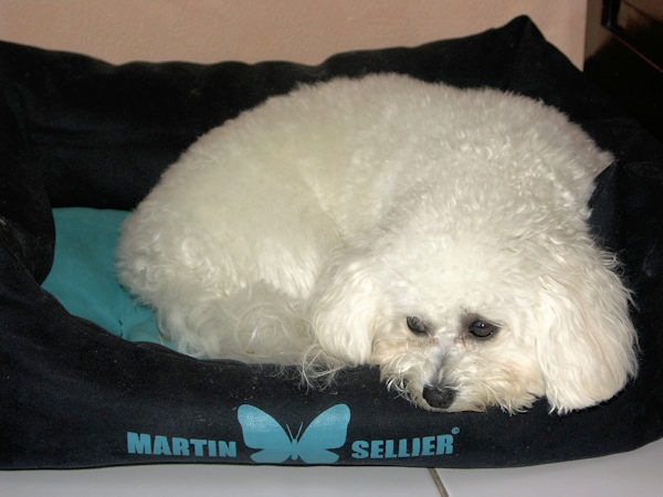 coussin