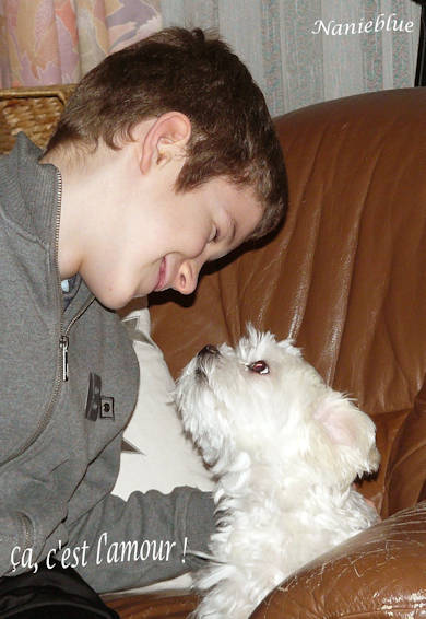 Amour