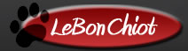 lebonchiot le bonchiot