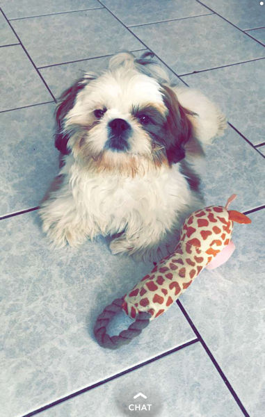 Obélix