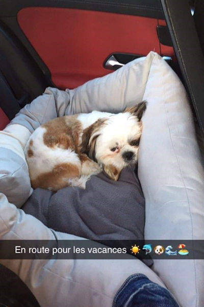 voyage