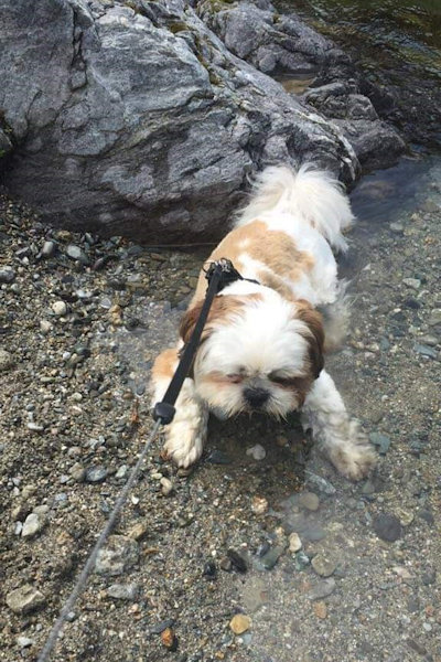 dans l'eau