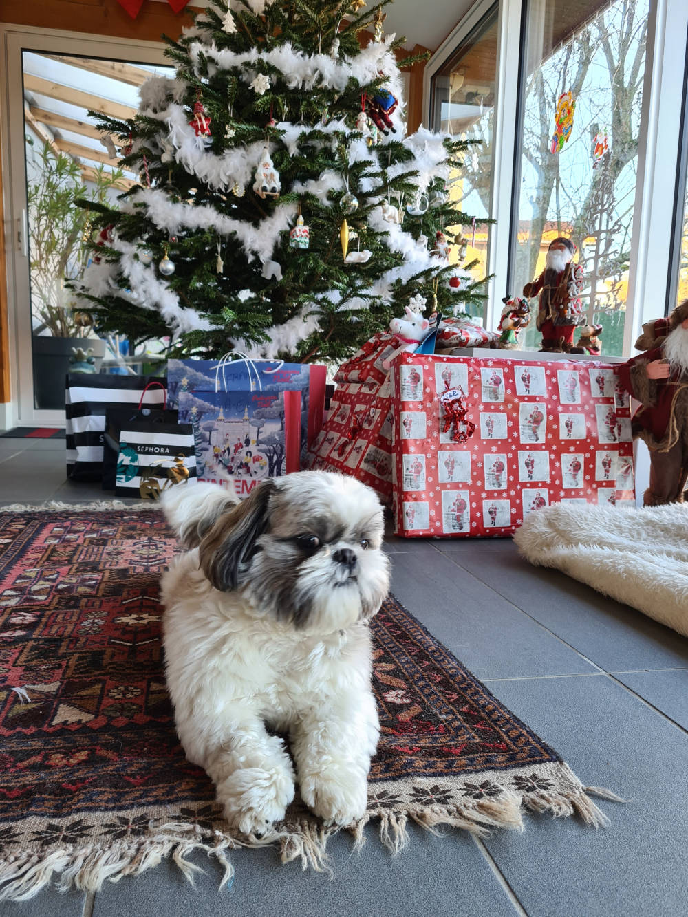 Boris à Noël