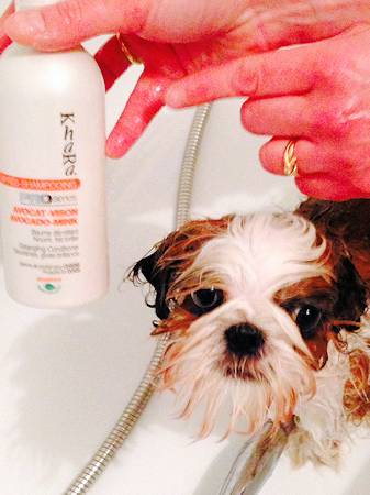 jack et le bain;