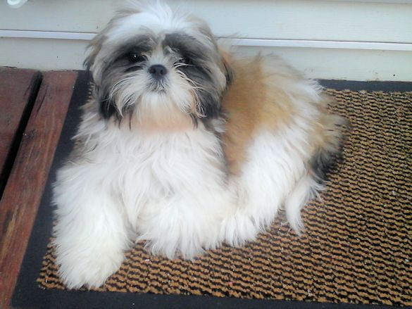 juliette