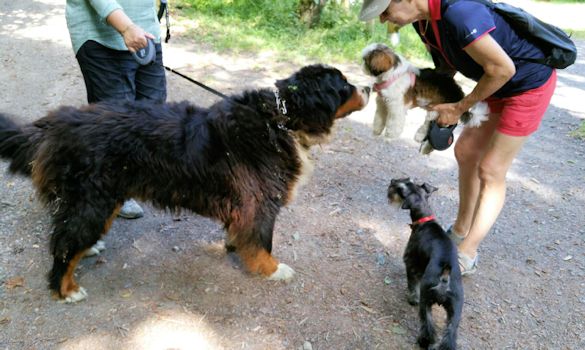 rencontre