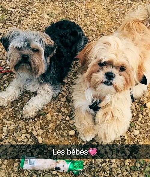 Jacco et sa copine