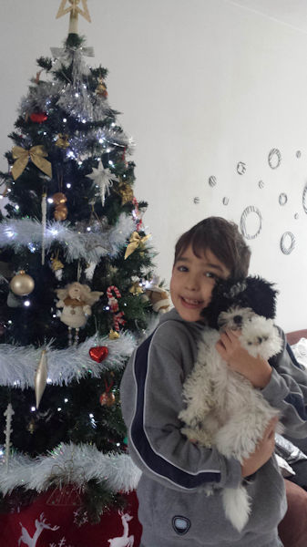 c'est Loupiote à Noël