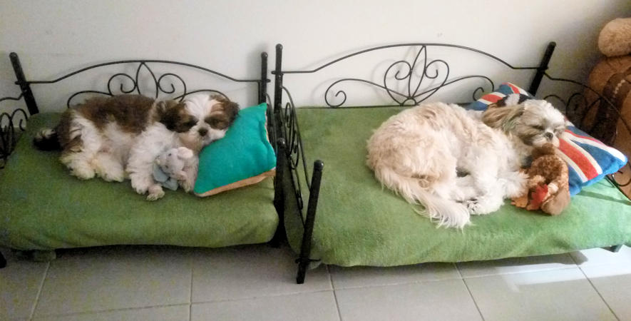 Juliette et Mousseline