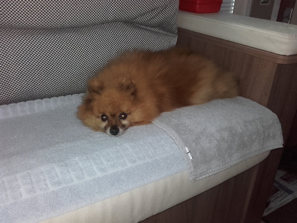 En camping car
