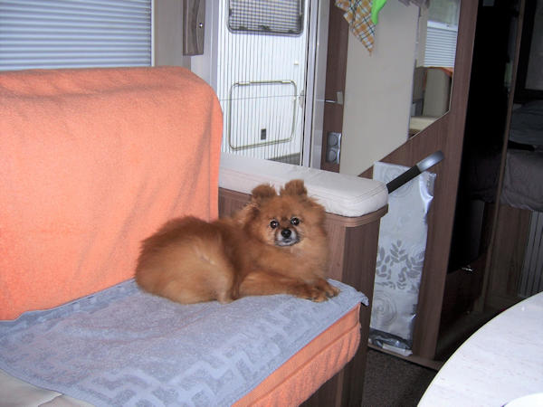 en camping car