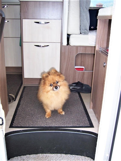 en camping car