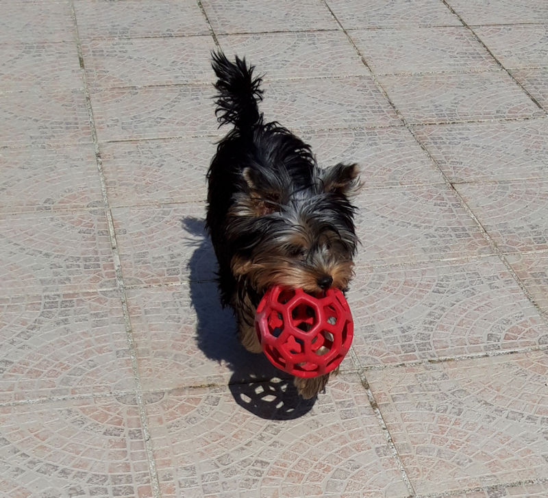 POPEYE