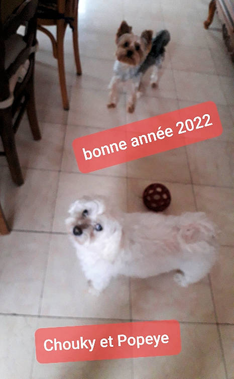 bonne année 2022